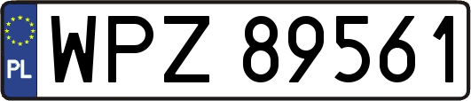 WPZ89561