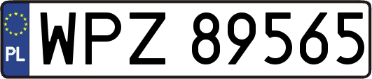WPZ89565