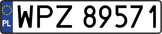 WPZ89571
