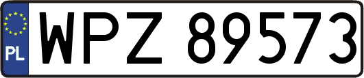 WPZ89573