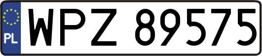 WPZ89575