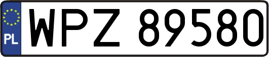 WPZ89580