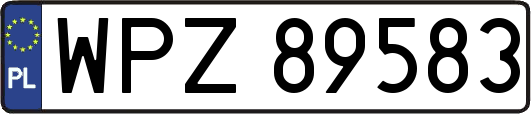 WPZ89583