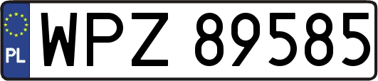 WPZ89585