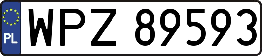 WPZ89593