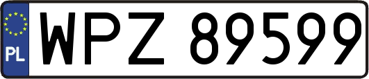 WPZ89599