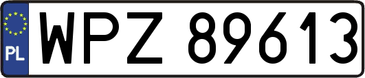 WPZ89613