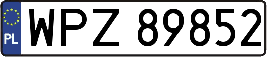 WPZ89852