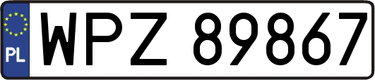WPZ89867