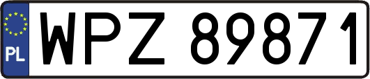 WPZ89871