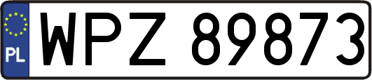 WPZ89873
