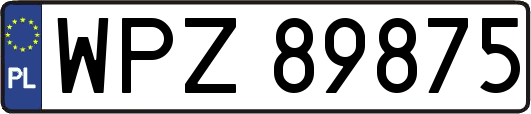 WPZ89875