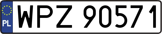 WPZ90571