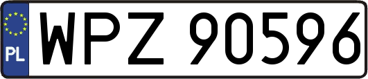 WPZ90596