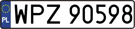 WPZ90598