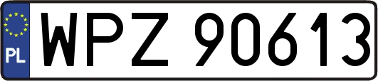 WPZ90613