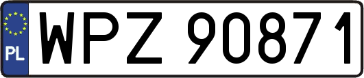 WPZ90871