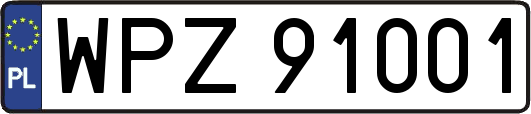 WPZ91001