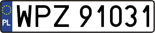 WPZ91031