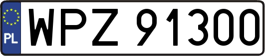 WPZ91300