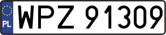 WPZ91309