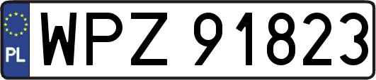 WPZ91823