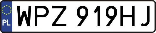 WPZ919HJ