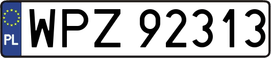 WPZ92313