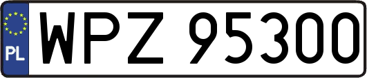 WPZ95300