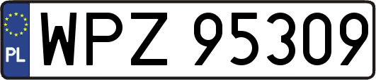 WPZ95309