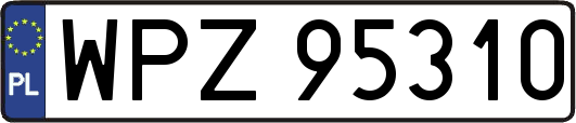 WPZ95310