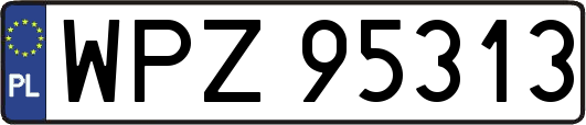 WPZ95313