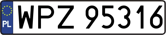 WPZ95316