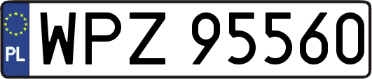 WPZ95560