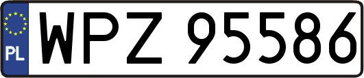WPZ95586