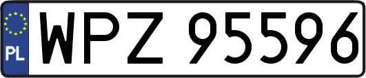 WPZ95596