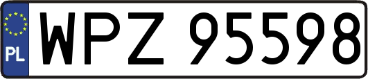 WPZ95598