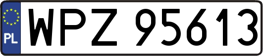 WPZ95613