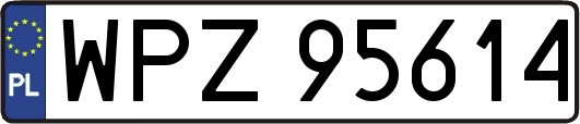 WPZ95614