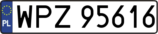 WPZ95616
