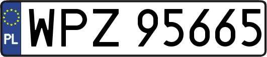 WPZ95665