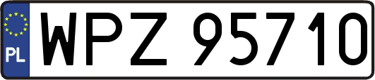 WPZ95710
