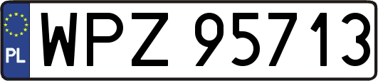 WPZ95713