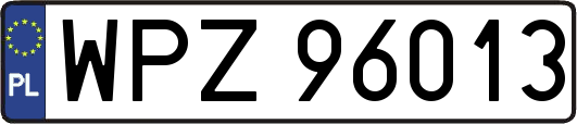 WPZ96013