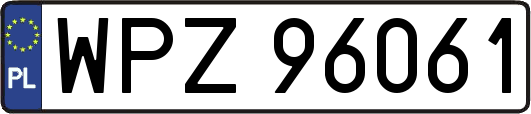 WPZ96061