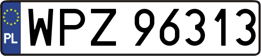 WPZ96313