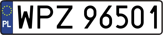WPZ96501