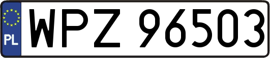 WPZ96503