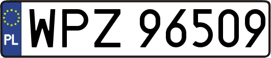 WPZ96509