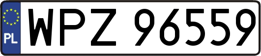 WPZ96559